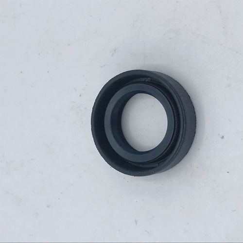 NOS seal ring for shifter on gearbox 69-